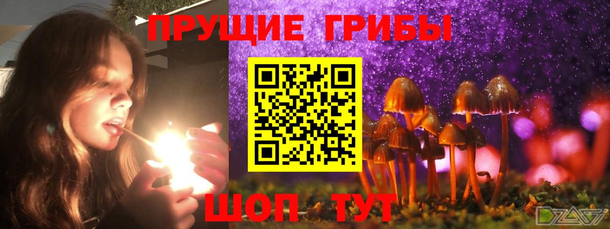 Галлюциногенные грибы GOLDEN TEACHER Белореченск