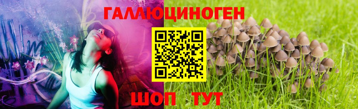 Псилоцибиновые грибы мухоморы  Вход с VPN  Белореченск  Псилоцибиновые грибы ЛСД 